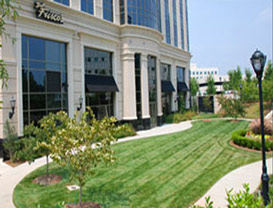 Friscos Commercial Landscaping