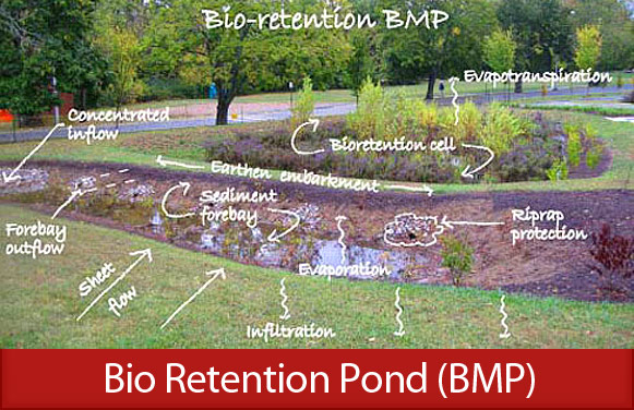 Bio Retention Pond