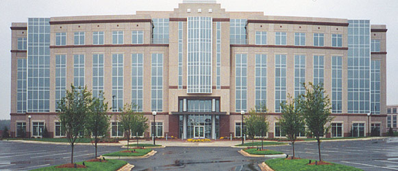 Commercial Landscape Construction
