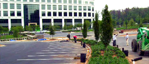 Commercial Landscaping Construction Office Building Entrance