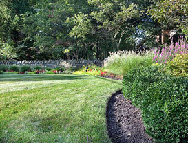 Commercial Landscaping Design