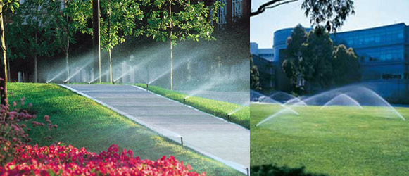 Commercial Irrigation
